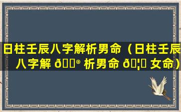 日柱壬辰八字解析男命（日柱壬辰八字解 💮 析男命 🦄 女命）